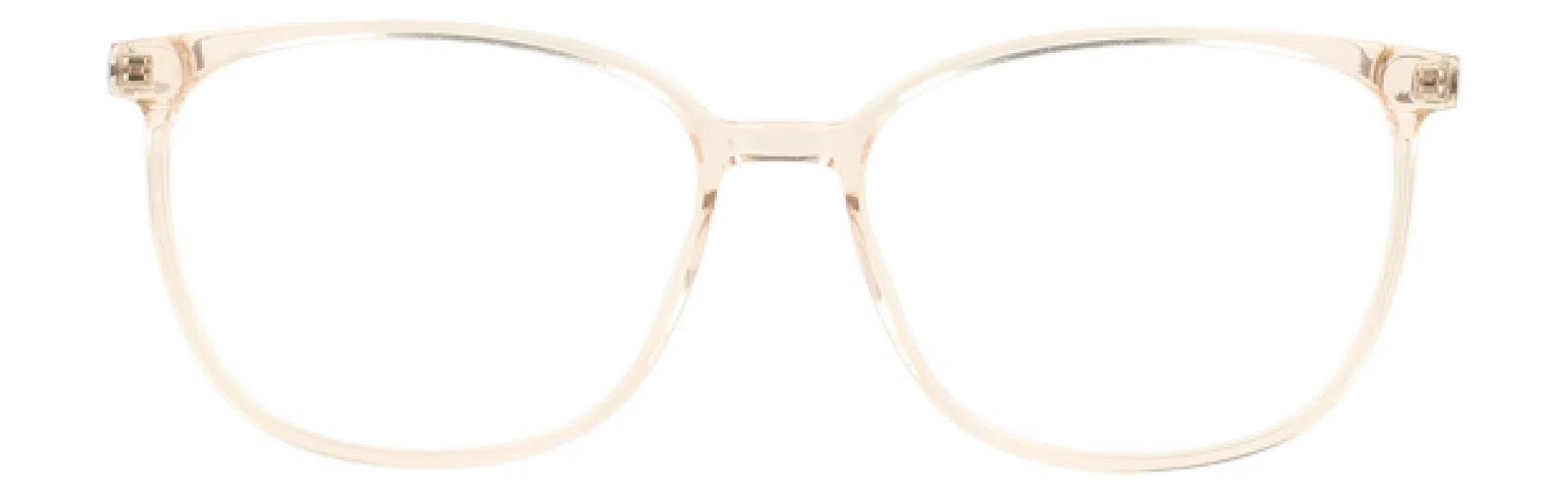 Via Spiga VSMichela Eyeglasses - view 4